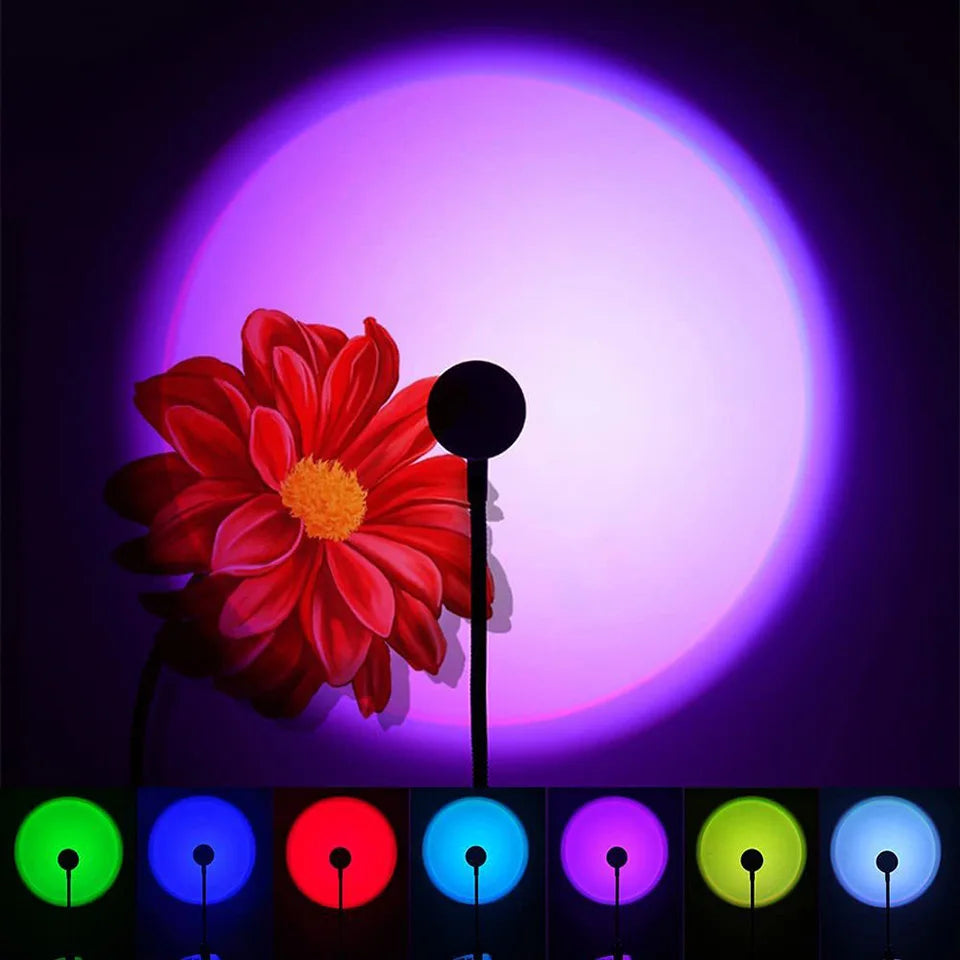 49105554702616