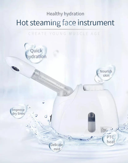 Facial Steamer