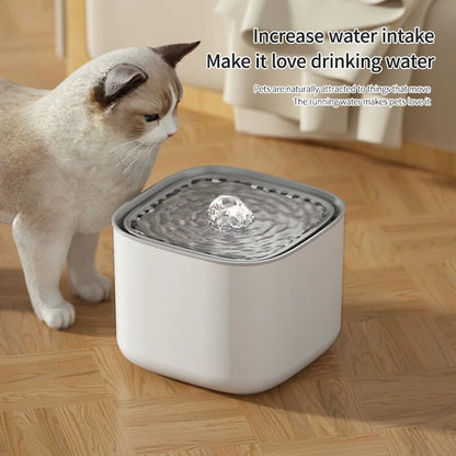 Electric Cats Water Fountain