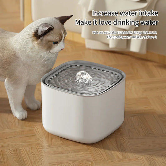 Electric Cats Water Fountain